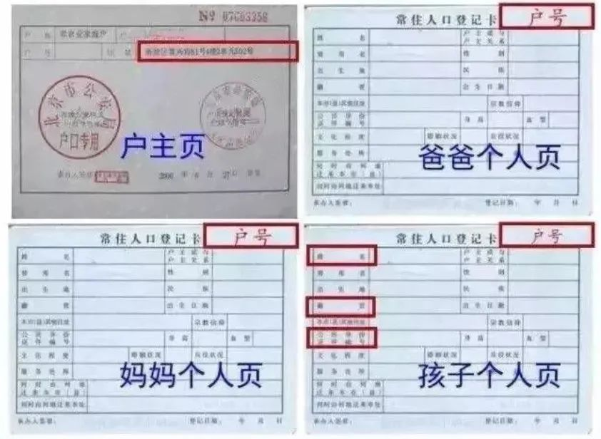 图片1